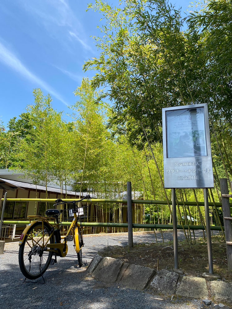 Wagner Nándo Art Gallery